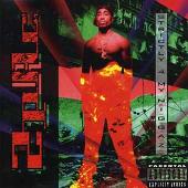 2Pac Album: “Strictly 4 My N.I.G.G.A.Z. (Explicit)”