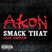 Akon Album: “Smack That  (Explicit)”