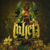 Calle 13 Album: “Residente o Visitante”