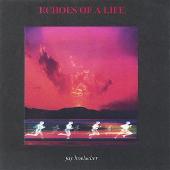 Disco de J Dilla: “Echoes of a Life”