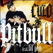 Pitbull Album: “Culo”