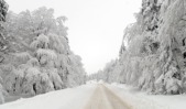 Wild Winter Road Trips